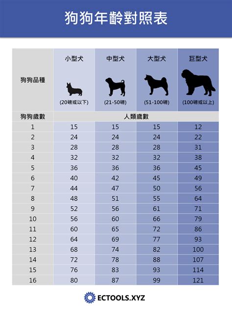 屬狗幾歲虛歲